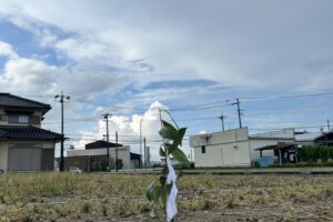 雷雨の金曜日